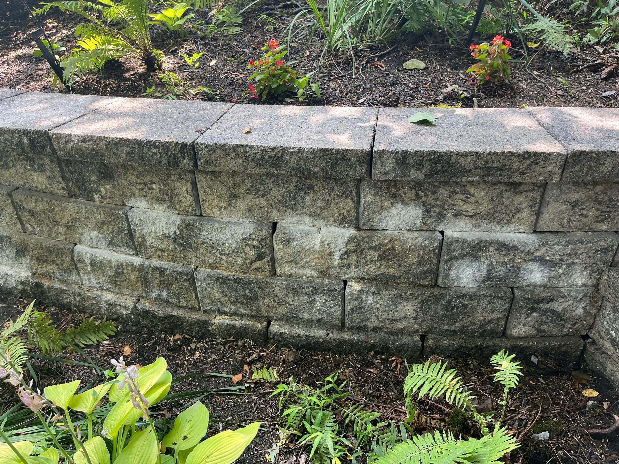 Brick wall and greenery