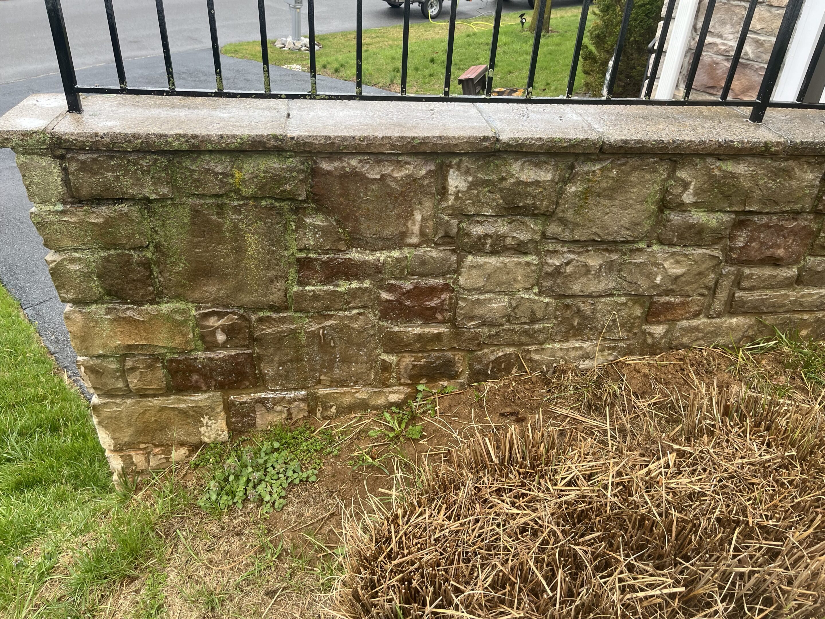 A mossy stone wall with a metal fence on top and dry grass in front.