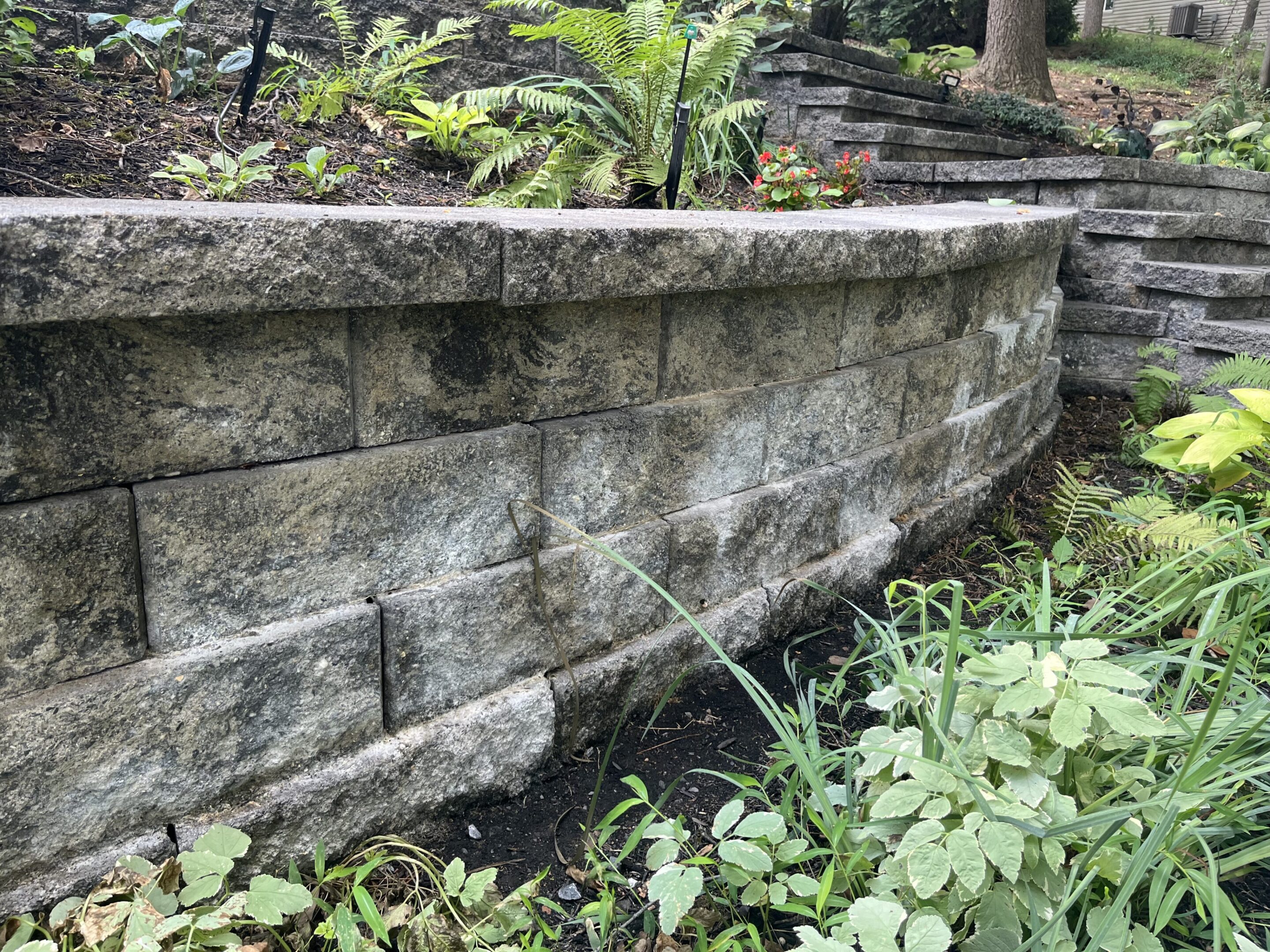 Stone retaining wall with plants above and greenery below.