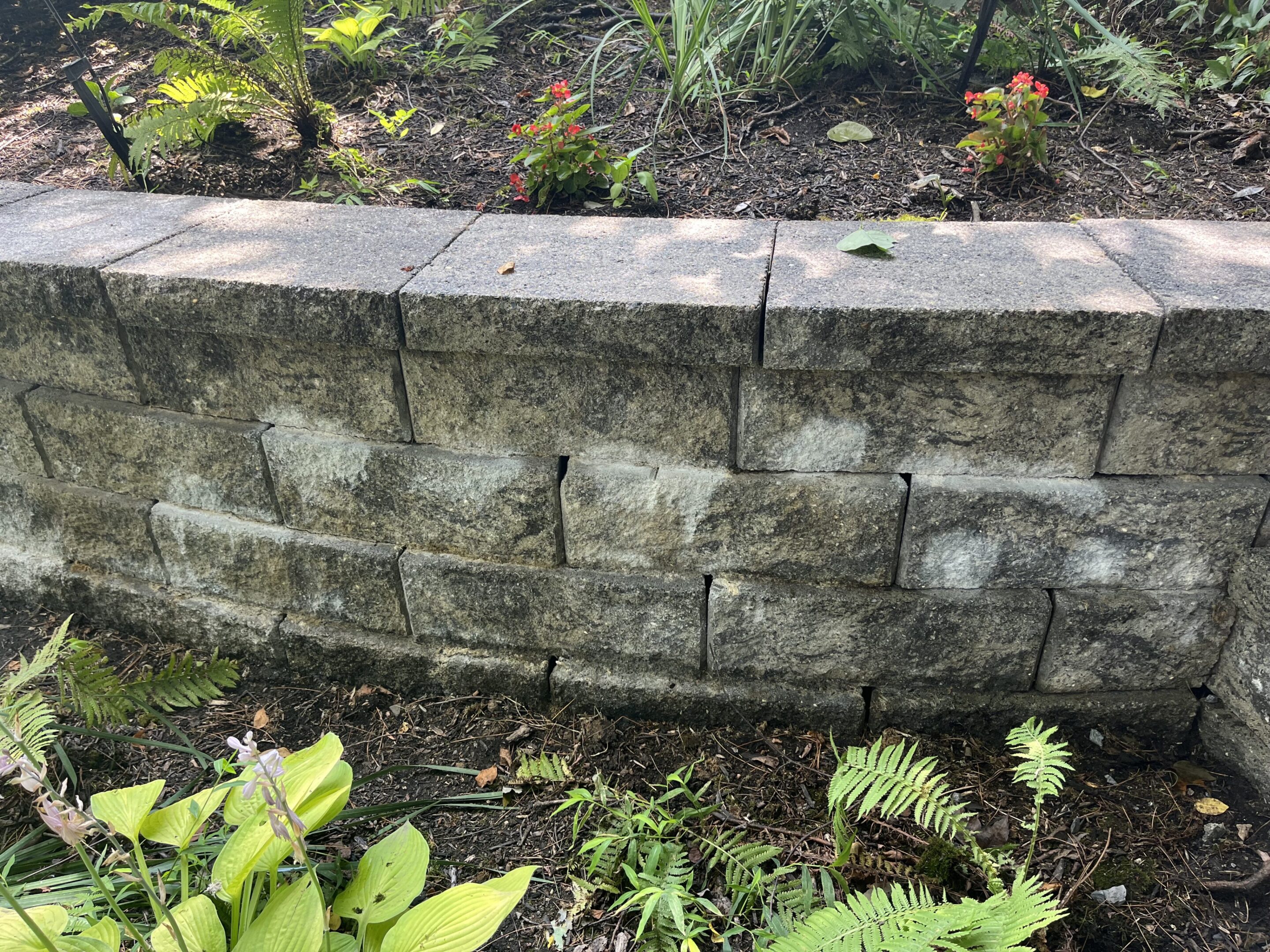 A small stone retaining wall with plants around it.