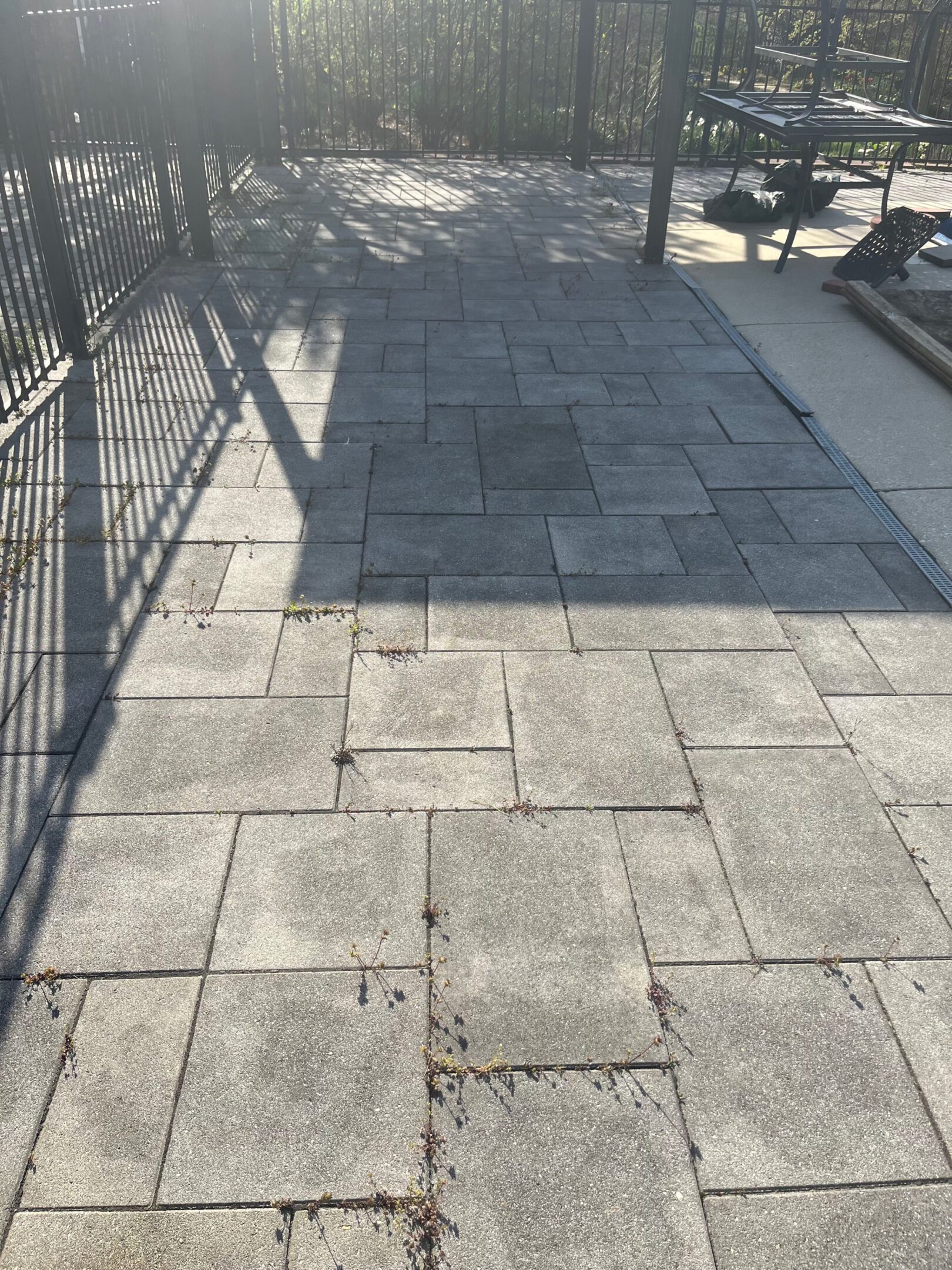 A sunlit sidewalk with shadows cast by a fence and trees.