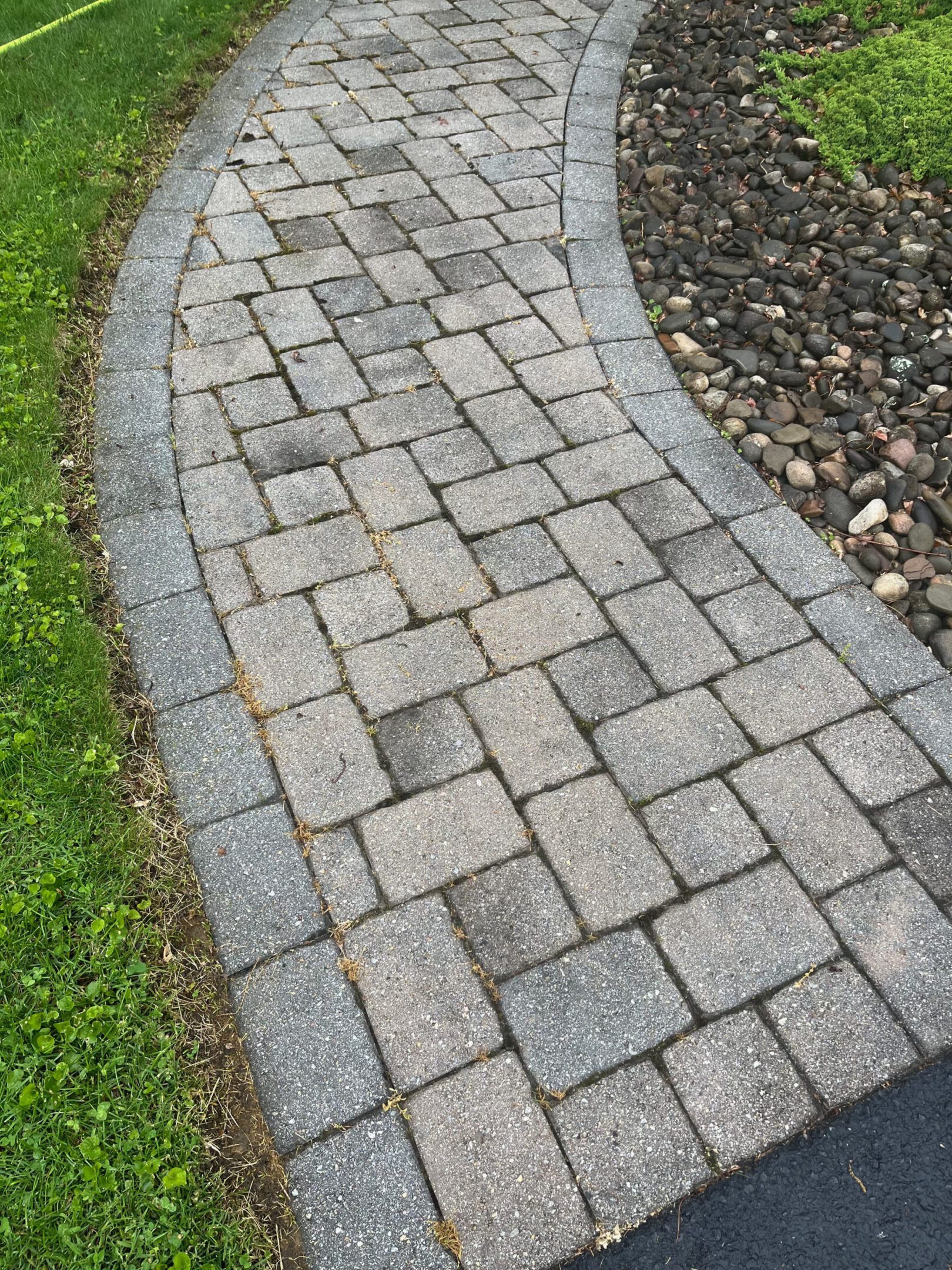 Curved stone pathway bordered by grass and rocks.