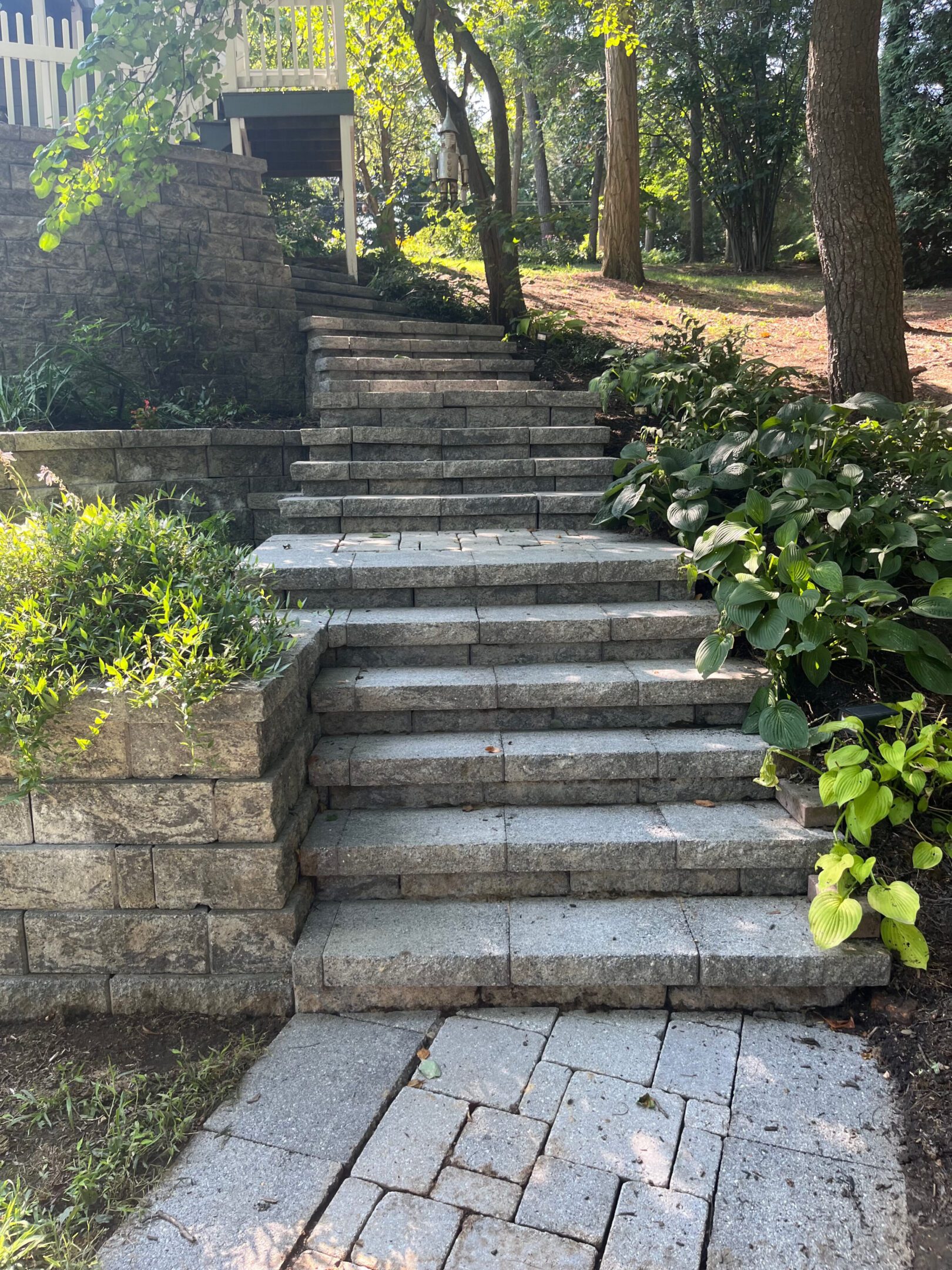 Stone steps ascending through a leafy garden pathway.