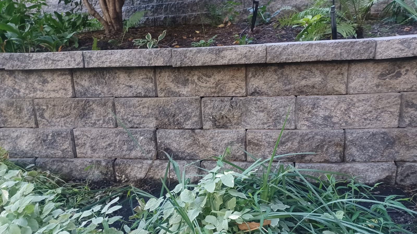 Stone retaining wall with greenery around it in an outdoor garden.