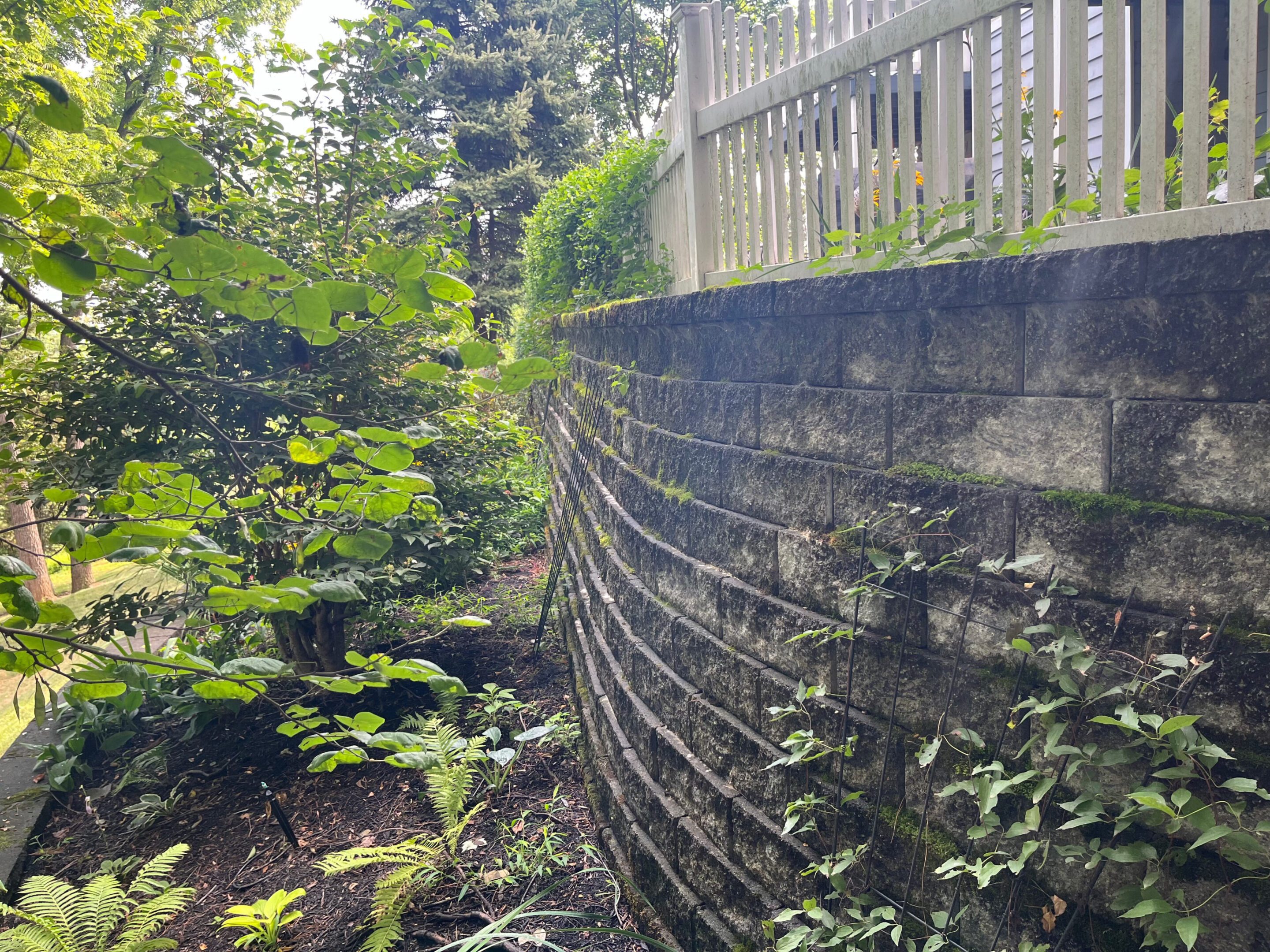 Stone retaining wall curving along a garden with lush greenery.