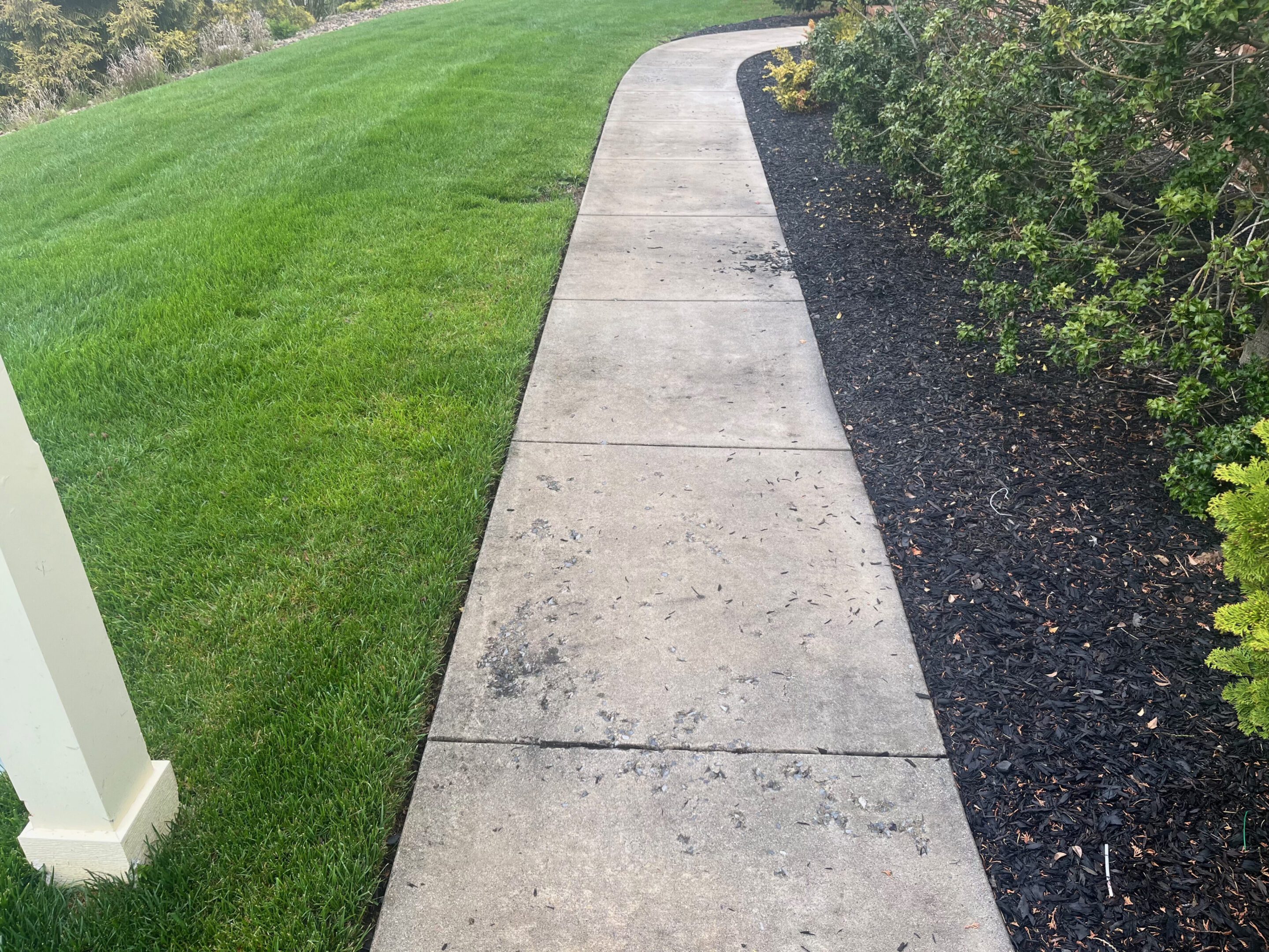 Concrete sidewalk bordered by green grass and dark mulch with plants.