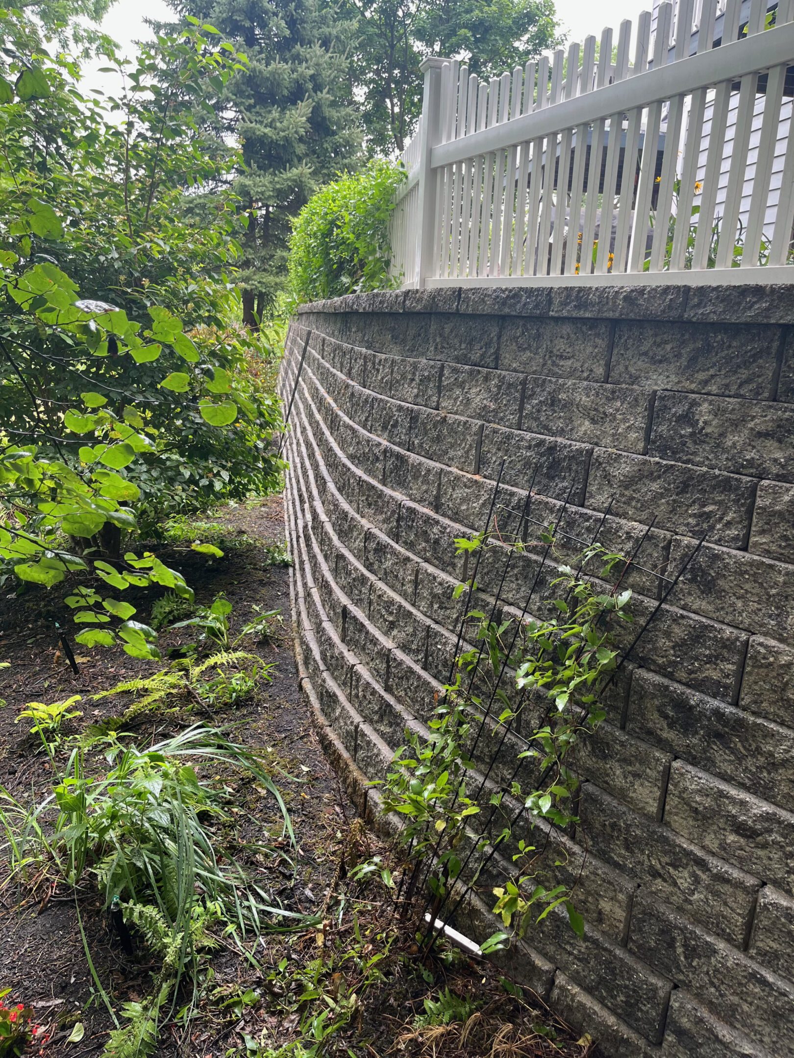 Curved stone retaining wall surrounded by greenery.