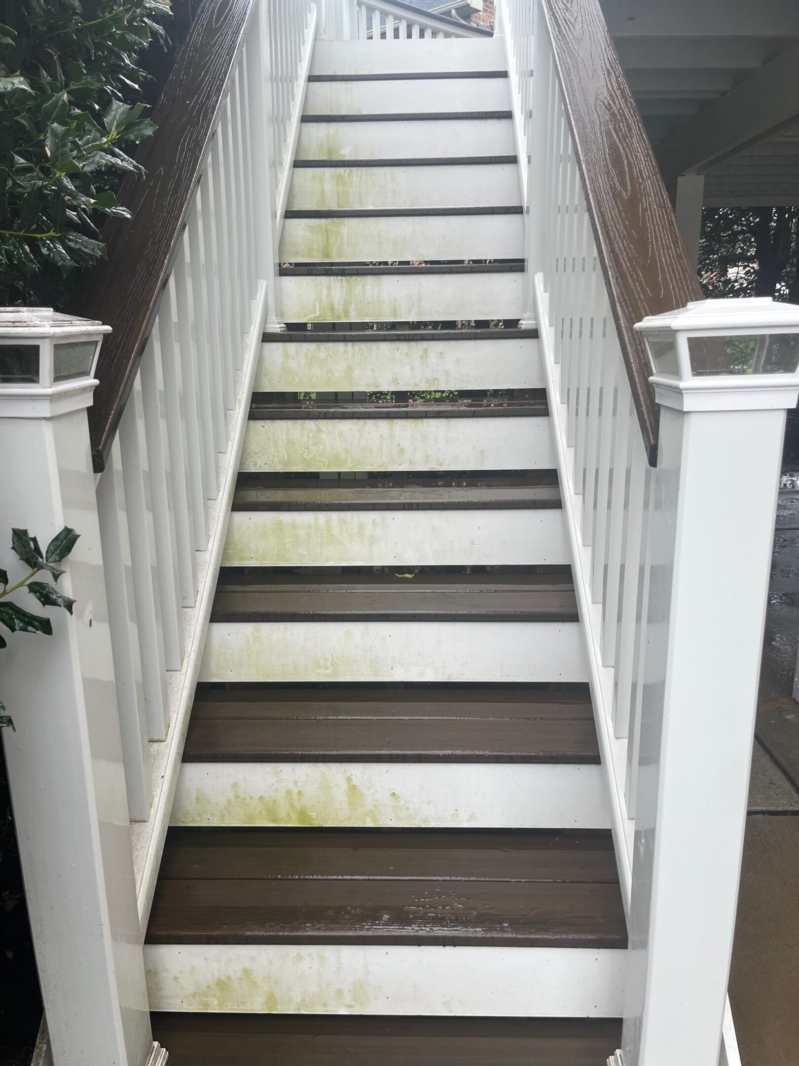 Staircase with visible mold and dirt on the steps.