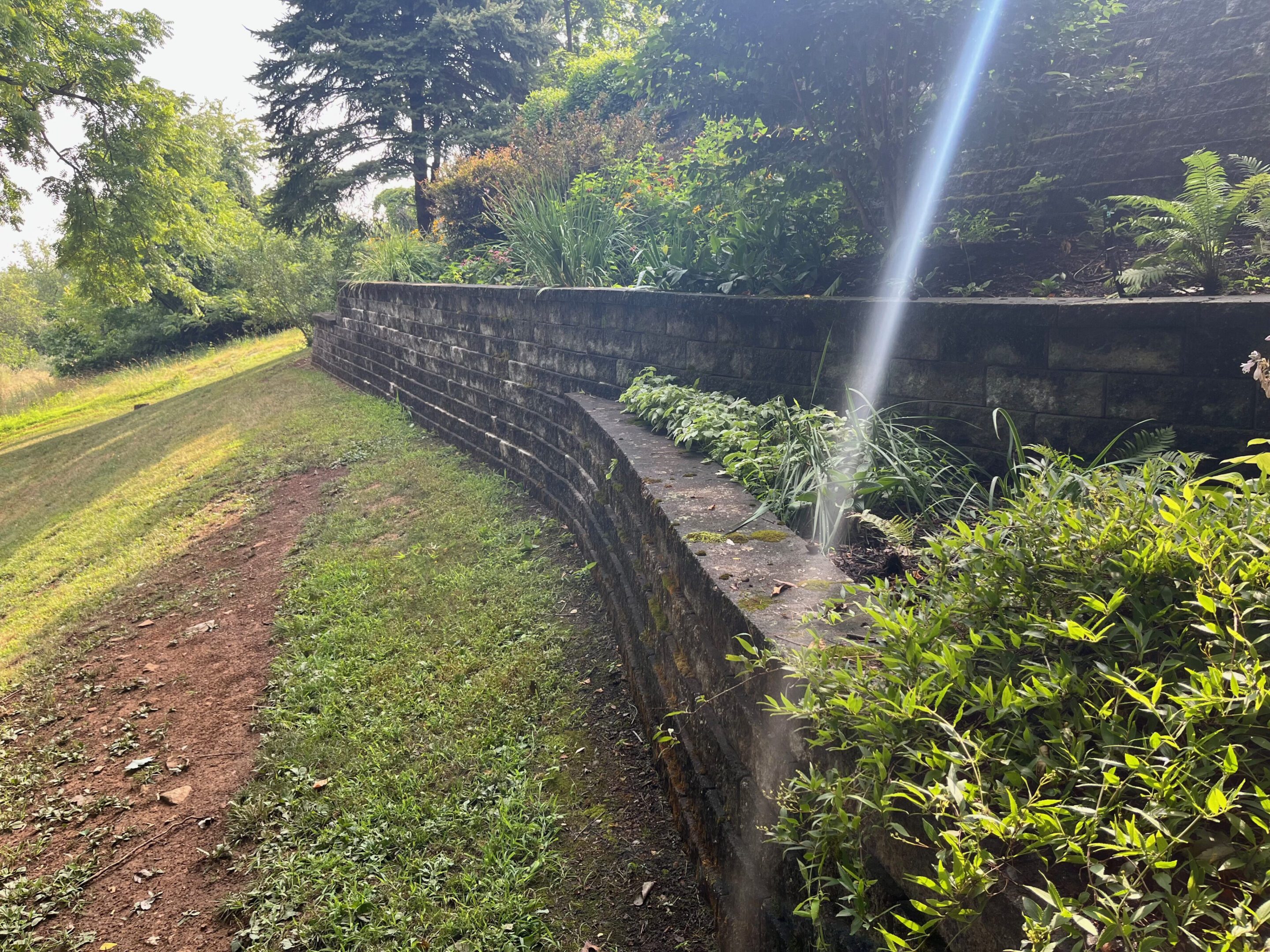 A stone retaining wall with greenery and sunlight streaming down.