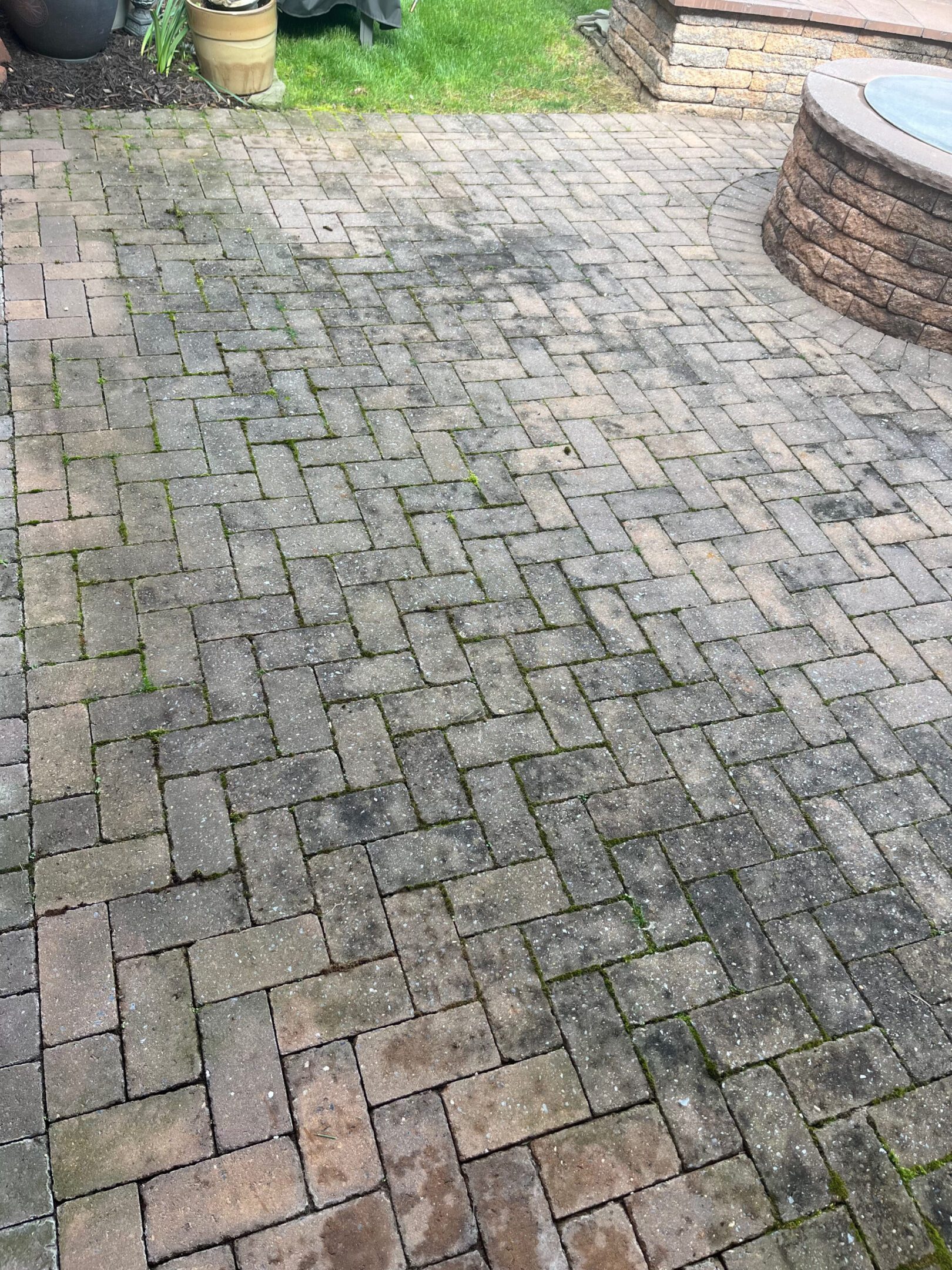 Brick pavement with moss and dirt buildup.