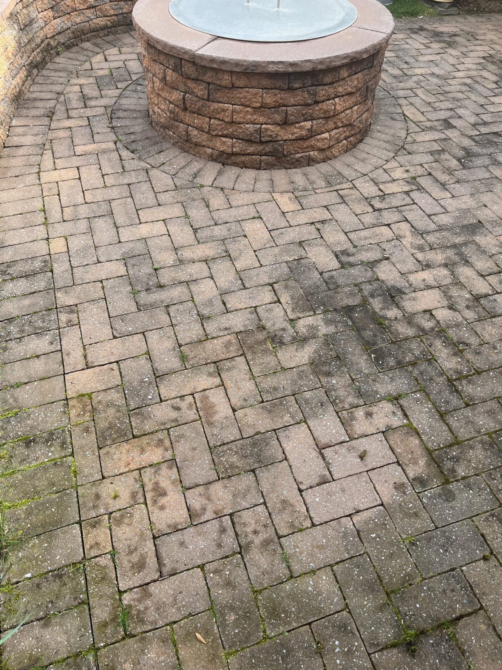 Brick pavers forming a circular pattern around a tree base.